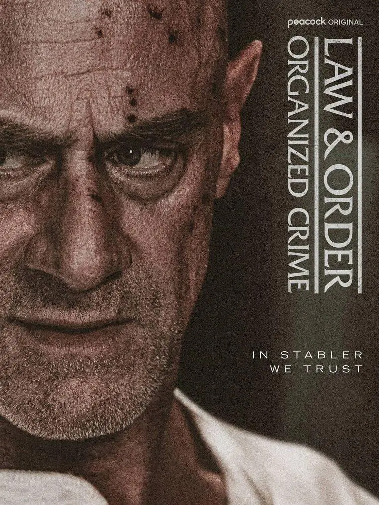 法律与秩序:组织犯罪 第五季