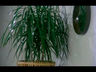 淫荡的克劳迪娅