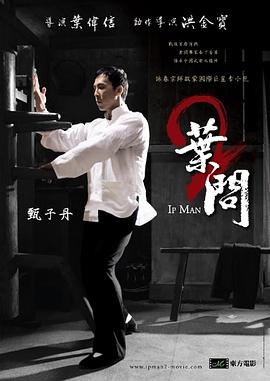 叶问2:宗师传奇(粤)