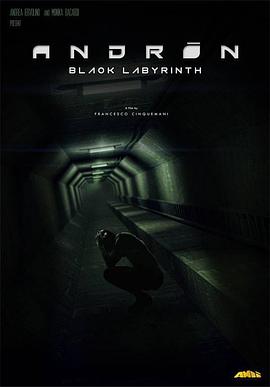 安德烈:黑色的迷宫 Andròn: The Black Labyrinth