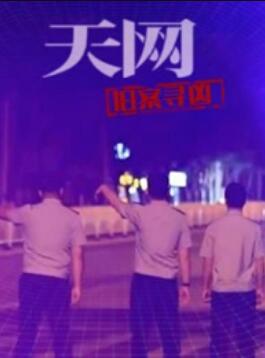 天网:旧案寻凶