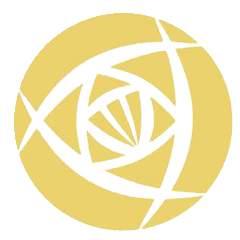 中女超 上海农商银行女足vs广东省女足20250906