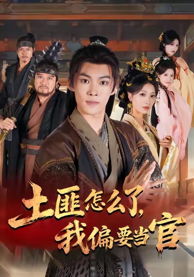 土匪怎么了,我偏要当官