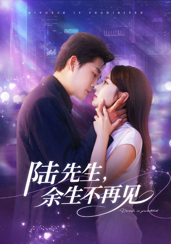 陆先生,余生不再见