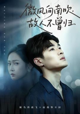 微风向南吹,故人不曾归